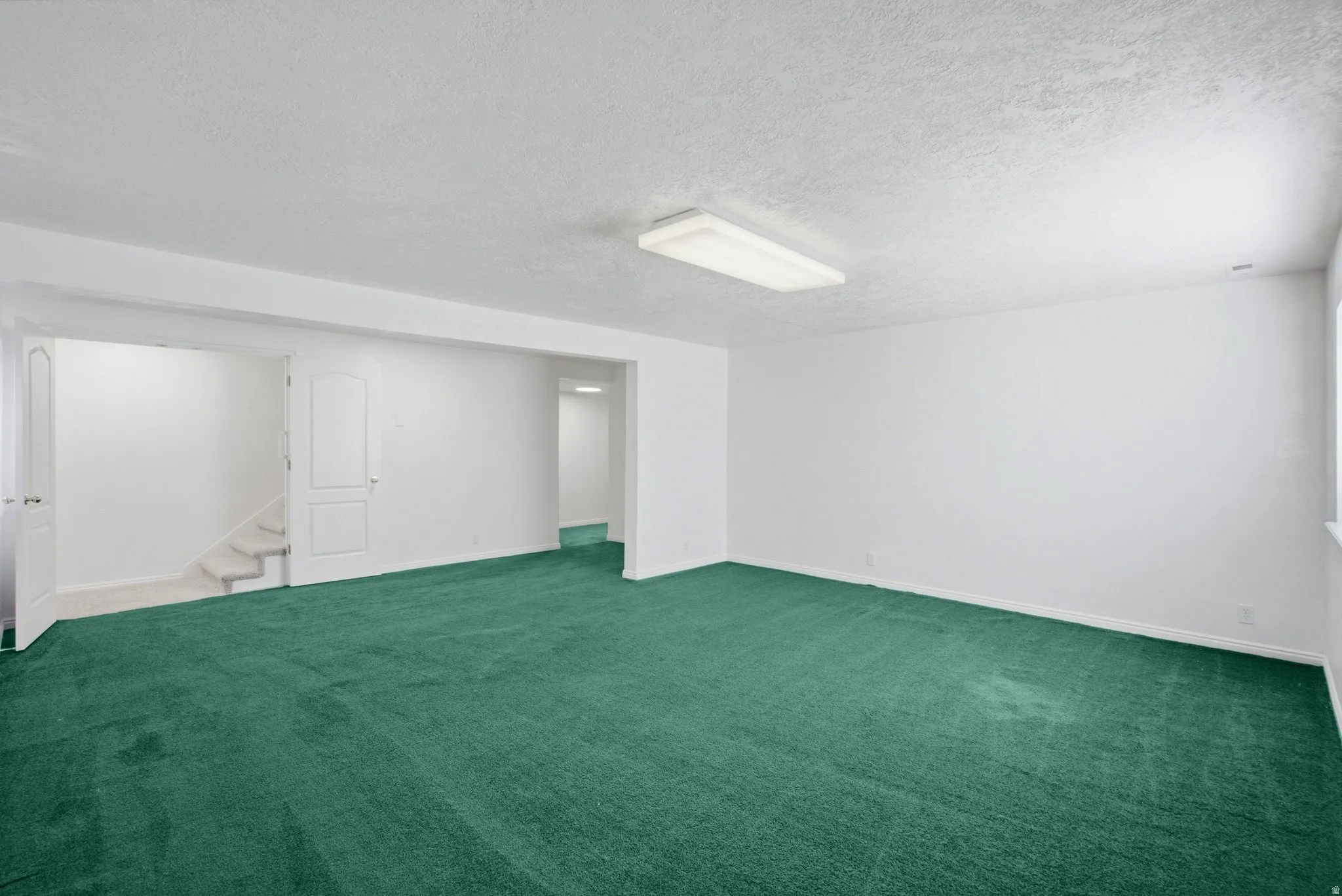 Spacious room featuring green carpeting, white painted walls, a flush-mount ceiling light fixture, and a window for natural illumination