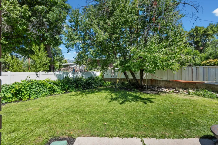 Grassy backyard with mature fruit trees, fully fenced green grass