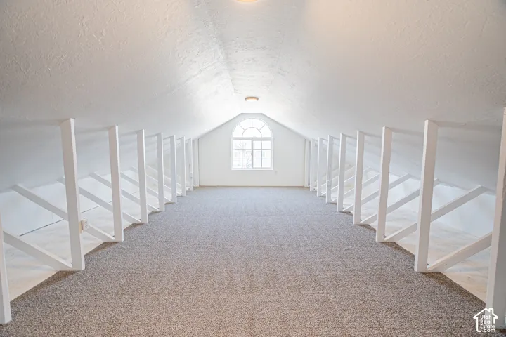 Bonus Room on Main Floor