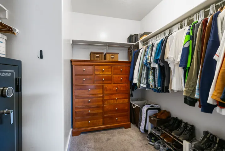 Walk-in closet with carpet flooring, white walls, built-in shelving, and clothes hanging rods