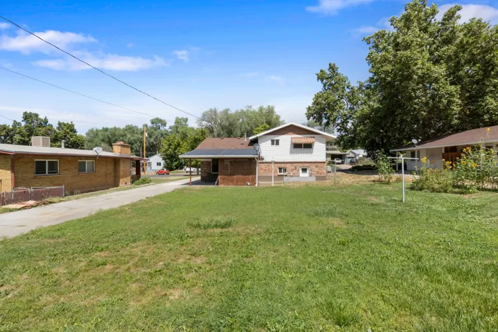 Expansive grassy yard with mature trees and a paved driveway