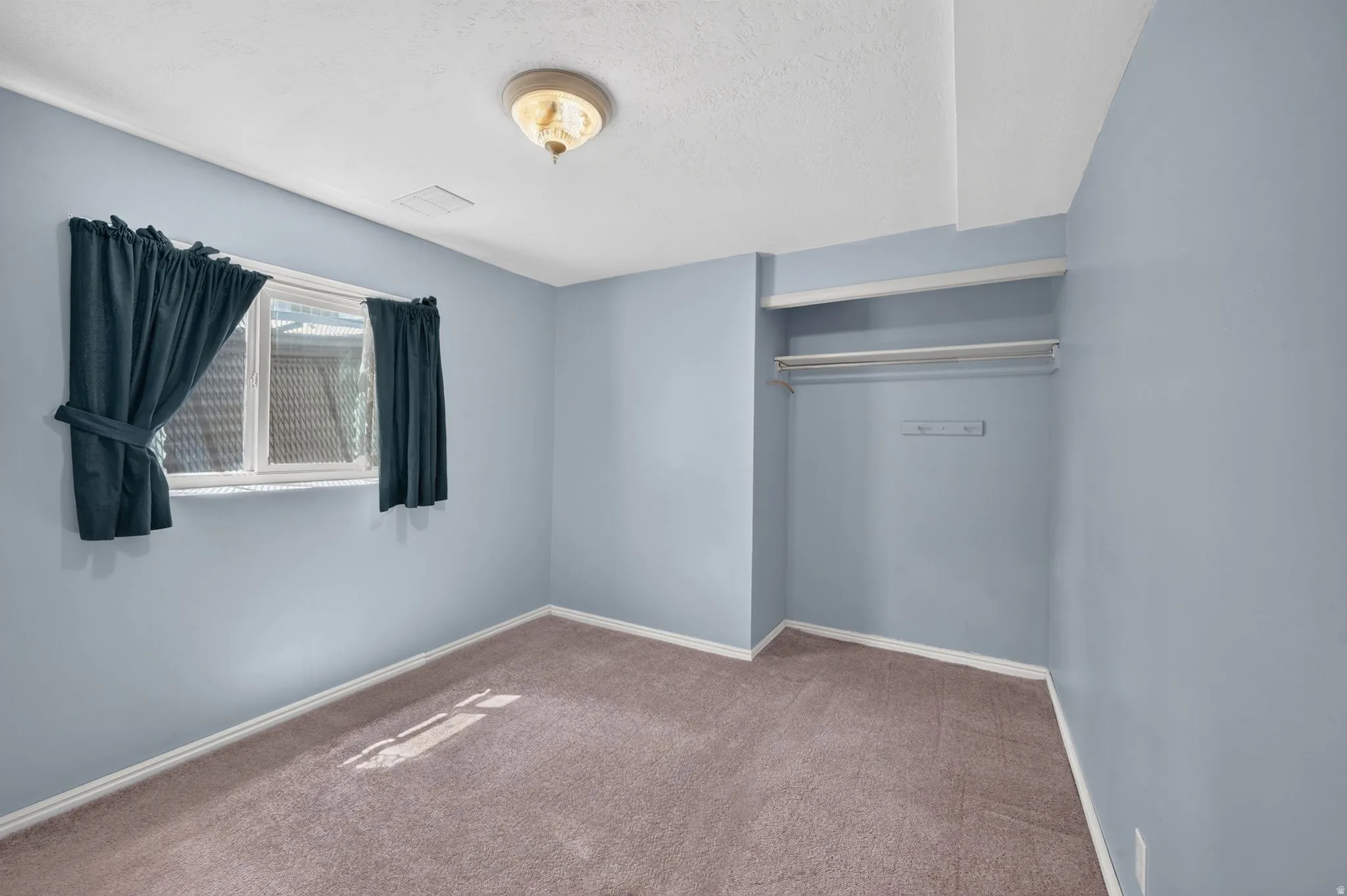 Neutral-toned carpeting, light blue wall finishes, built-in shelving, and a ceiling-mounted light fixture