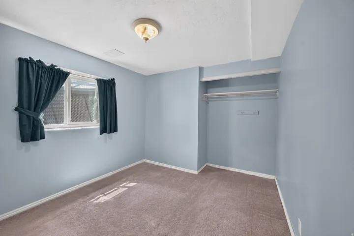 Neutral-toned carpeting, light blue wall finishes, built-in shelving, and a ceiling-mounted light fixture