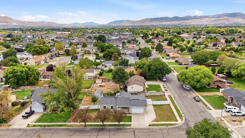 Residential neighborhood with established street infrastructure and mature trees