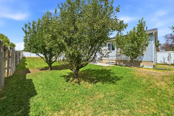 Spacious backyard with a wooden privacy fence and mature trees