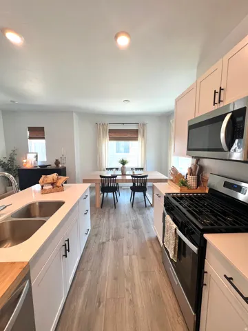 Kitchen featuring stainless steel appliances, white cabinetry with black hardware, a dual basin sink, wood-finish flooring, and recessed lighting