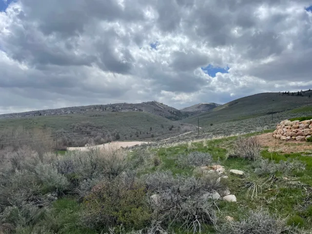 Expansive natural landscape featuring rolling hills, varied green foliage, and distant mountain terrain