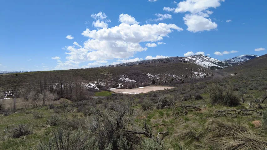 Expansive natural landscape featuring rolling hills, scattered brush, and distant snow-capped mountains under a clear sky