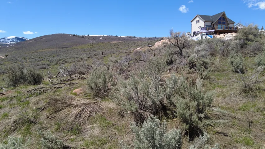Property with a sloped landscape and natural vegetation