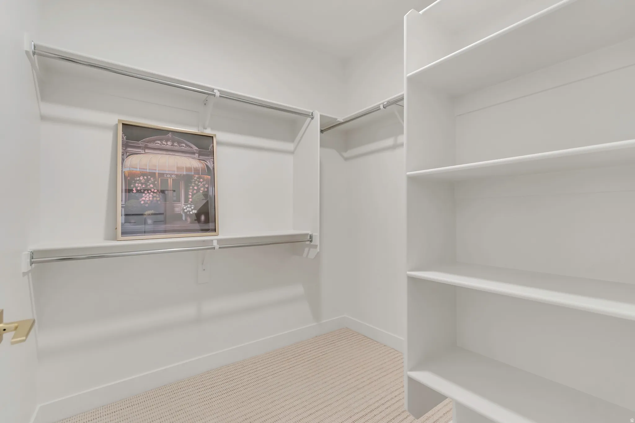 Walk-in closet featuring white built-in shelving, two levels of hanging rods, and light-toned carpet flooring