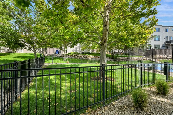 Dog Park, Fenced green space with mature trees