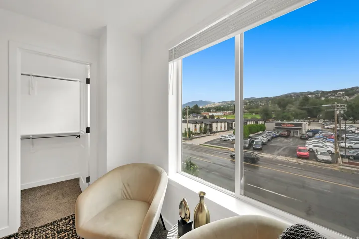 Large window with blinds, interior closet with hanging rods and shelving, and wall-to-wall carpeting