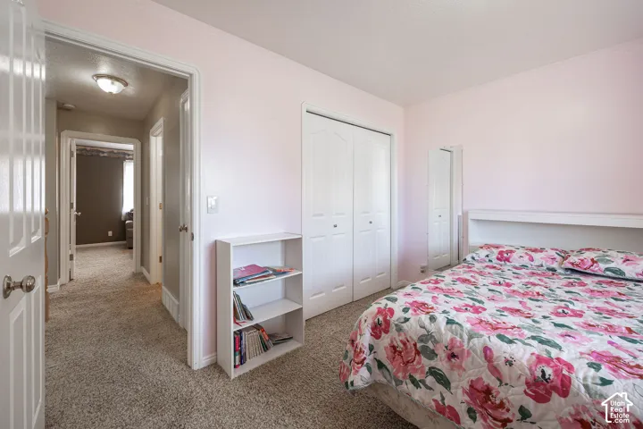 Carpeting throughout, white bi-fold closet doors.