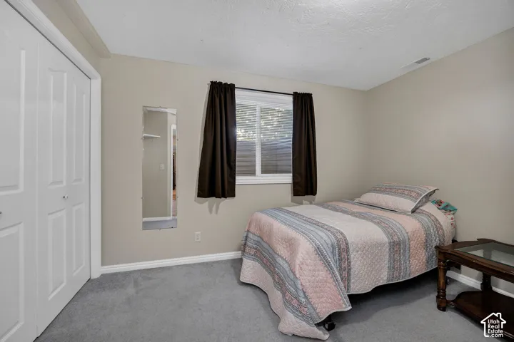 Gray carpeting, neutral wall paint, and a built-in closet with white bifold doors.