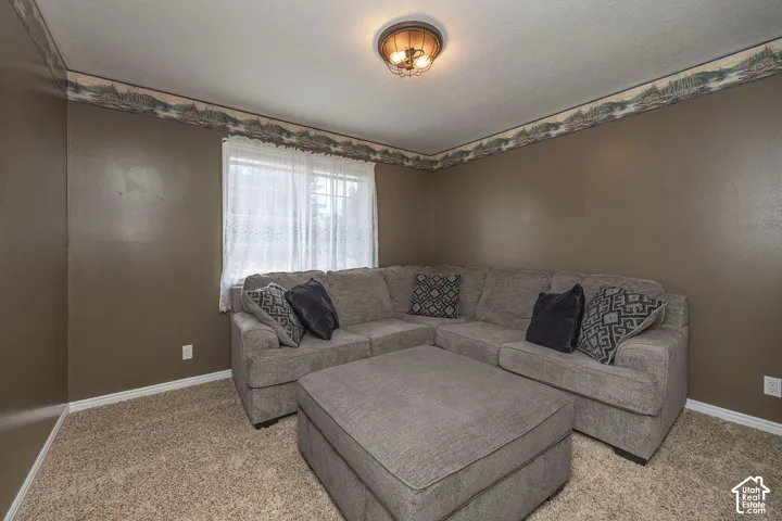 Carpeted flooring, window, overhead lighting, and neutral painted walls.