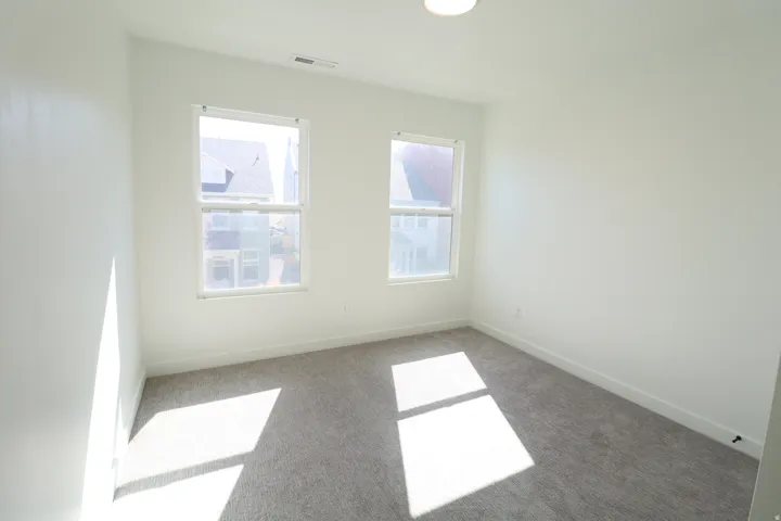 Neutral wall tones with two windows, a ceiling-mounted light fixture, and carpet flooring
