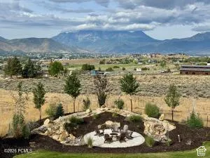 Landscaped backyard featuring a circular hardscape patio, surrounding rock features, and varied young trees