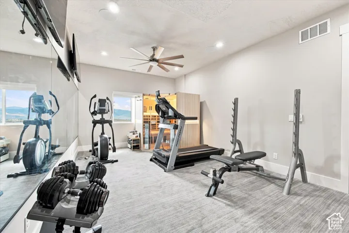 Full Sauna and Red Light Therapy. Recessed lighting, ceiling fan, mirrored wall, two windows, and light gray carpet
