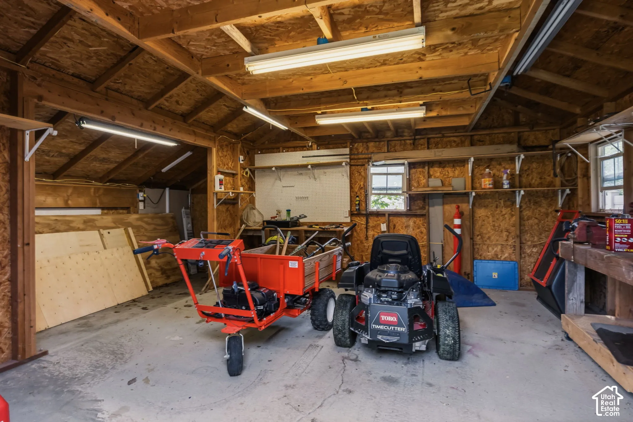Shed Interior