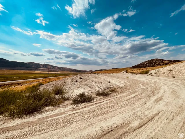 Expansive undeveloped terrain featuring a winding dirt path, distant mountains, a flat green expanse, and scattered low-lying vegetation
