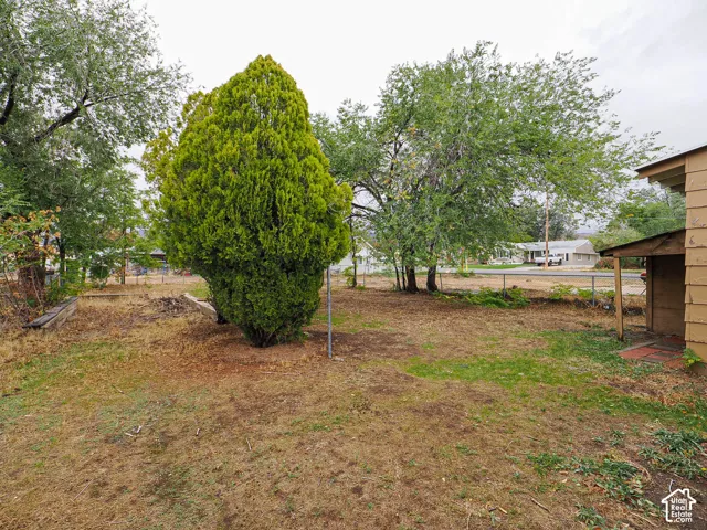 Spacious backyard featuring mature trees, chain-link fencing, and a wooden exterior structure