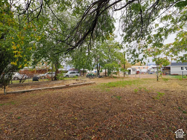 Expansive lot featuring mature trees, chain-link perimeter fencing, and a concrete garden border