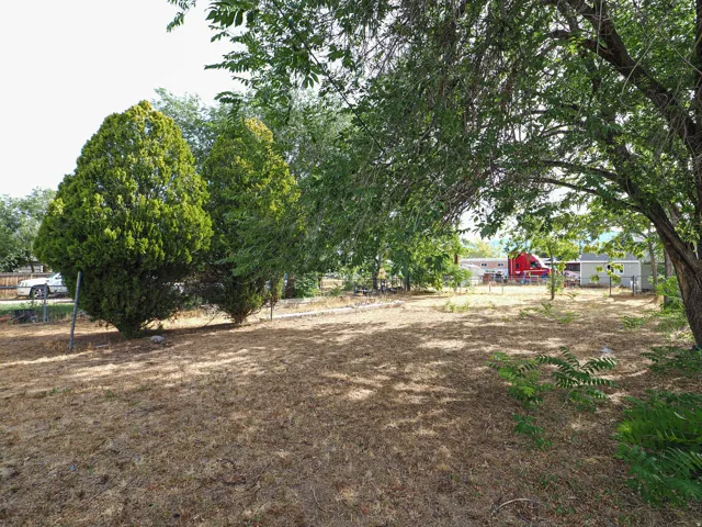 Expansive lot featuring mature trees and established perimeter fencing
