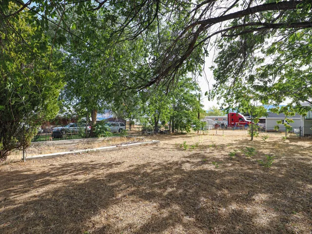 Expansive lot with mature trees and a fenced perimeter