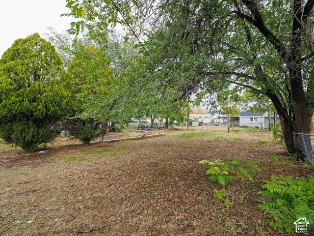 Expansive grounds featuring mature evergreen trees, deciduous trees, and a chain-link perimeter fence