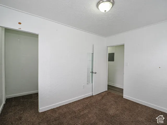 Room featuring textured wall finishes, carpeted flooring, a recessed closet space, and a flush-mount ceiling light fixture
