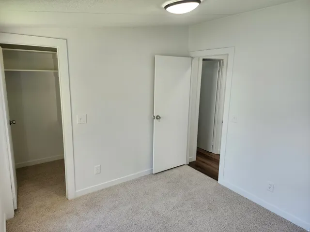 Neutral-toned wall paint, light-colored carpet, ceiling-mounted light fixture, white trim, and a closet with shelving