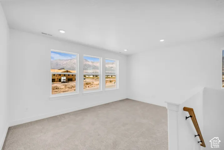 Loft/Family Room
