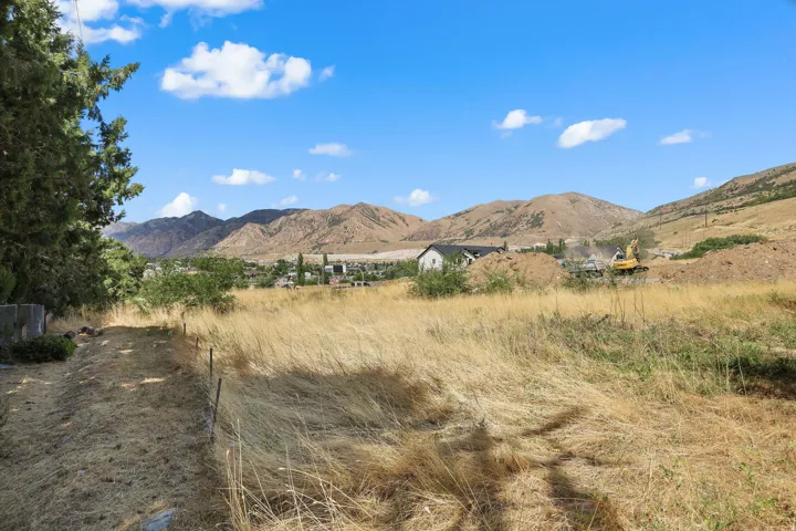 Expansive outdoor space with natural ground covering and distant mountain backdrop