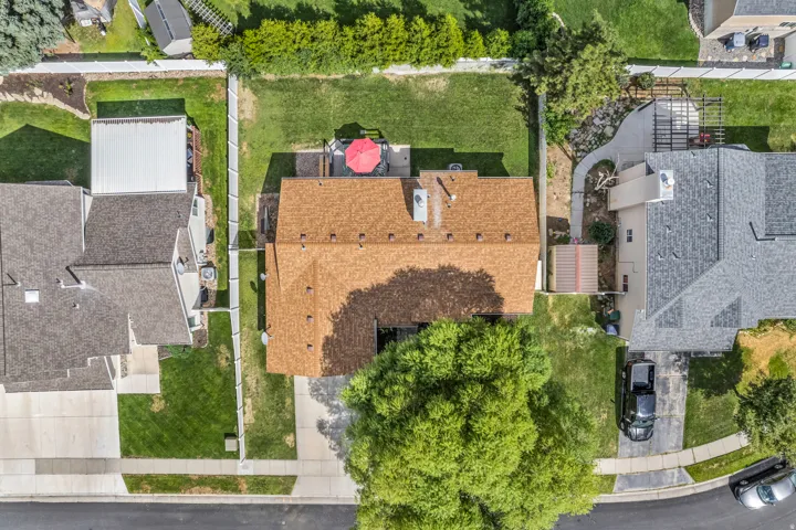 Expansive backyard featuring a manicured lawn, established privacy hedges, a paved patio, and mature trees