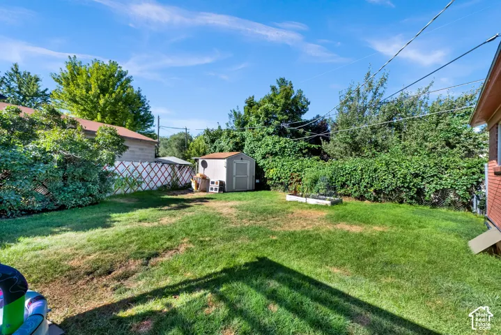 Expansive backyard featuring a lush lawn, mature perimeter landscaping, and a freestanding storage shed