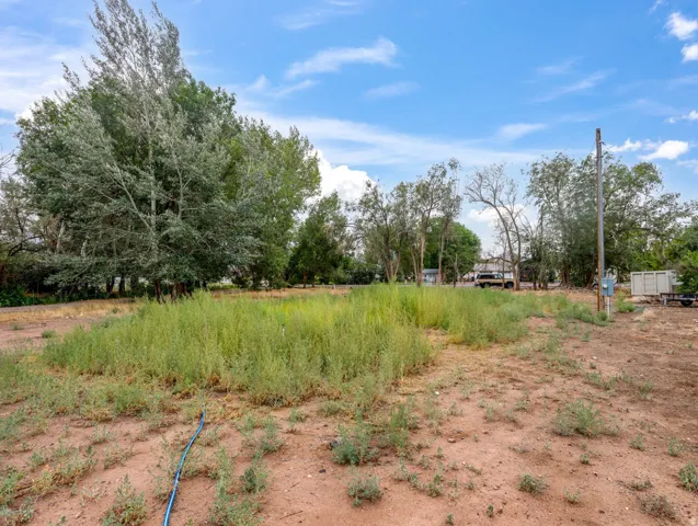 Expansive lot featuring mature trees, natural vegetation, and a clear blue sky