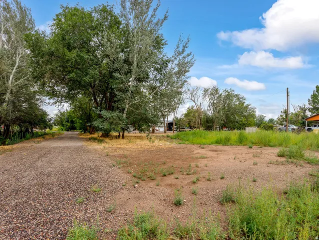 Gravel access path with mature trees and open land