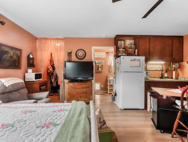 Wood-finish flooring throughout, with ceiling-mounted track lighting and a ceiling fan