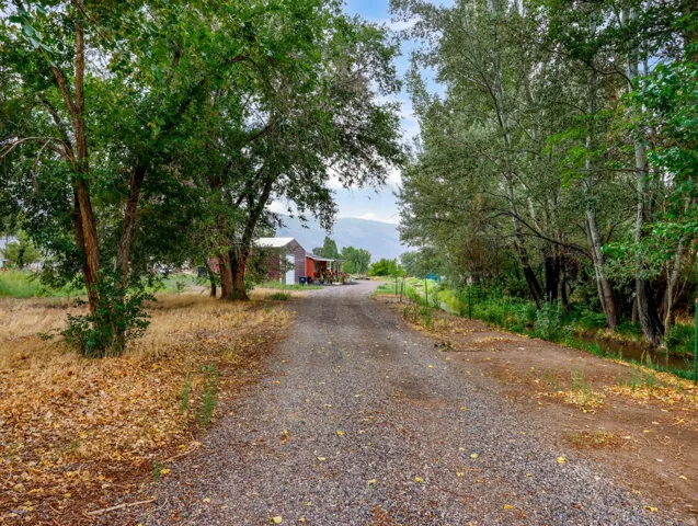 Gravel driveway flanked by mature trees leading to a red barn
