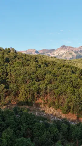 6567 Chaparral Rd, Huntsville, Utah 84317