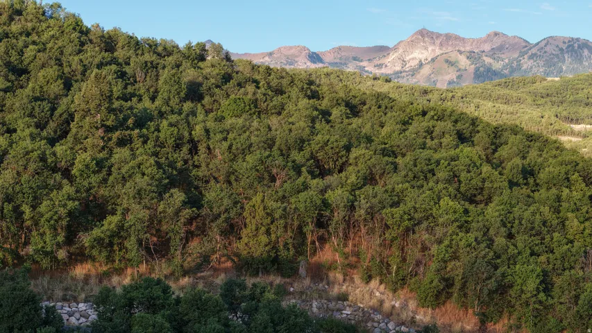 6567 Chaparral Rd, Huntsville, Utah 84317
