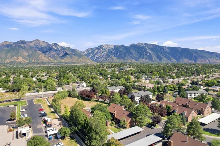 Expansive mountain range backdrop and verdant tree canopy