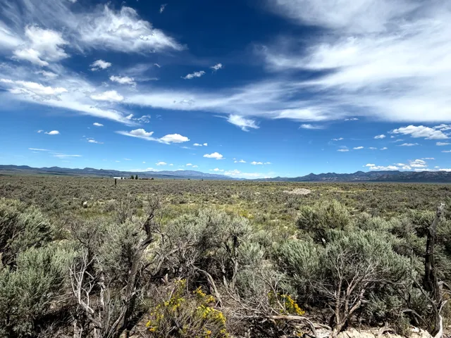 Expansive undeveloped land with a distant mountain range backdrop