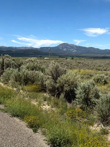 Expansive landscape featuring distant mountains, open terrain, and natural foliage with intermittent yellow wildflowers