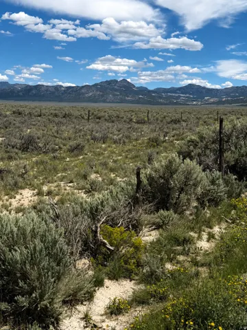 Expansive acreage featuring natural vegetation, distant mountain range, and a clear sky with clouds