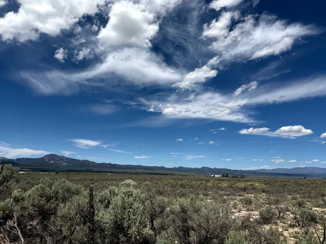 Expansive natural landscape with varied low-lying vegetation