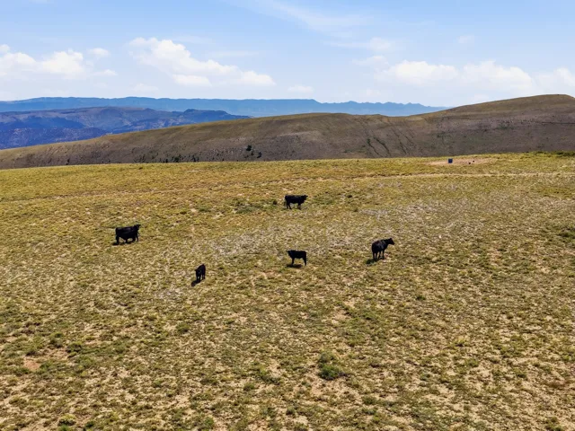Expansive open terrain with rolling hills and distant mountainous backdrops