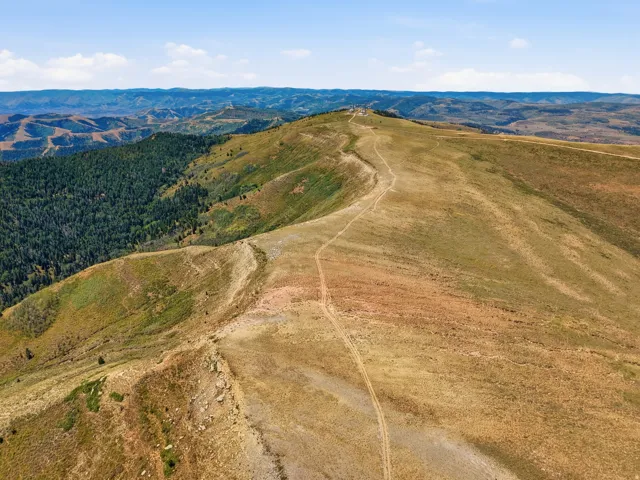 Expansive mountain terrain with a visible track and distant forest