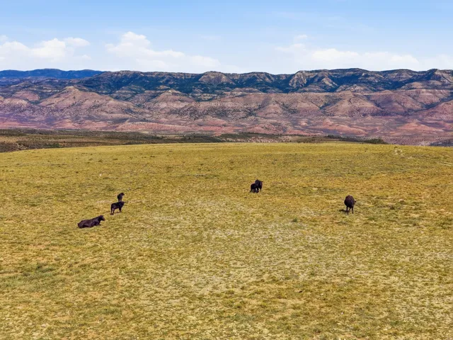 Expansive open land with natural grass, framed by distant mountains under a clear sky