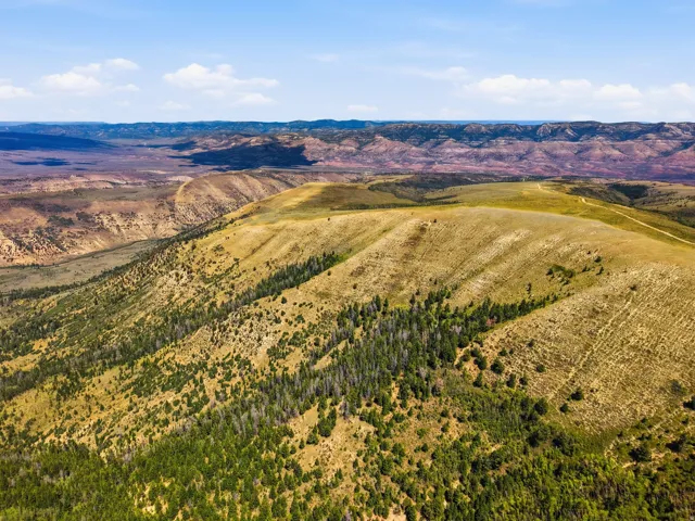 Expansive acreage featuring natural terrain, mature tree coverage, and distant mountain ranges